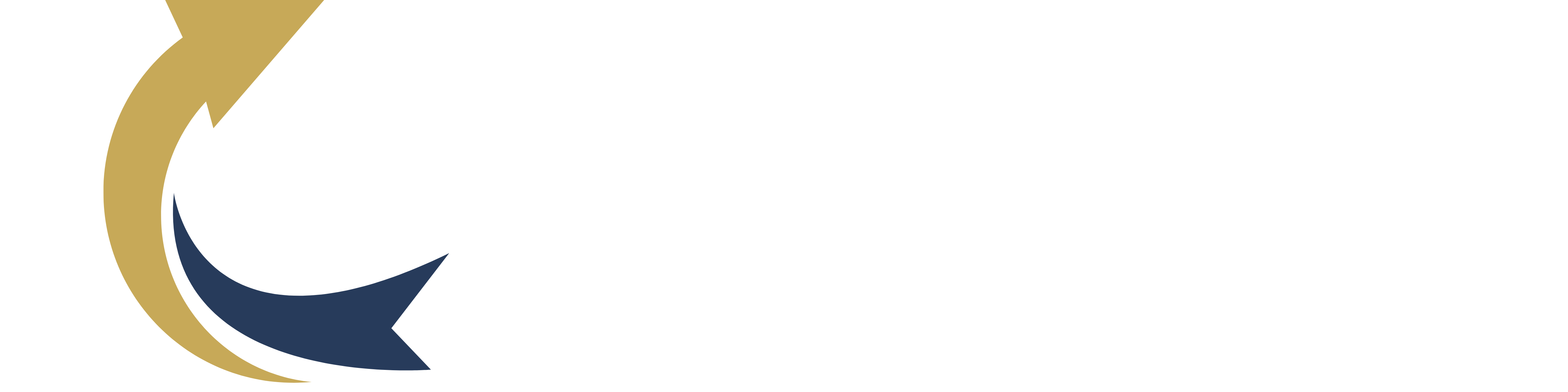 Ethnos conseil